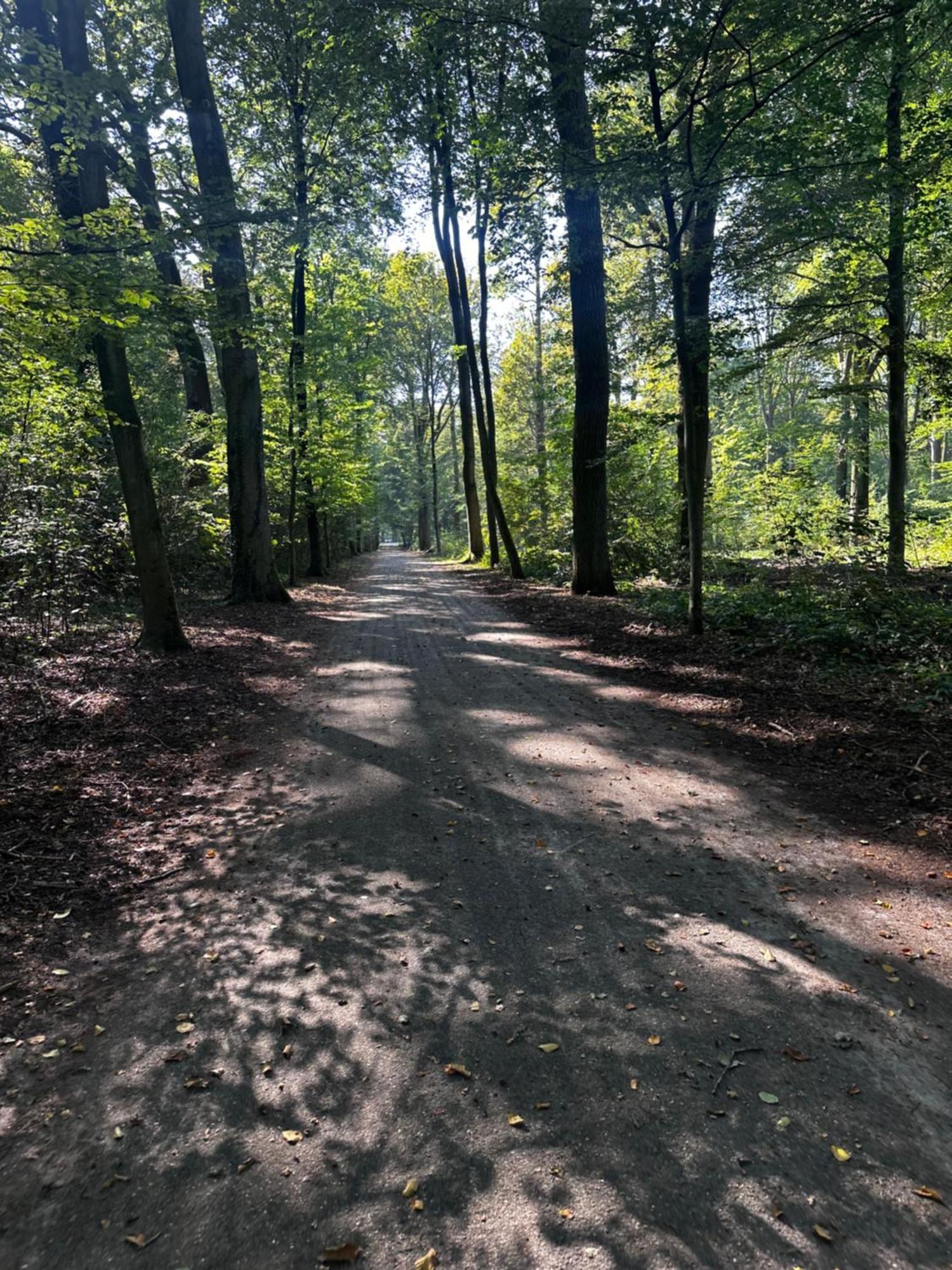 Chalet In Het Bos - Gezin - Wandelaars - Digital Nomads - Hs Wifi - Fijnspar 108 Aan de Wolfsberg Dış mekan fotoğraf